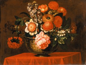 Flores